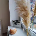 Апартаменты Neu Sanierte Mit Balkon Und Stellplatz *